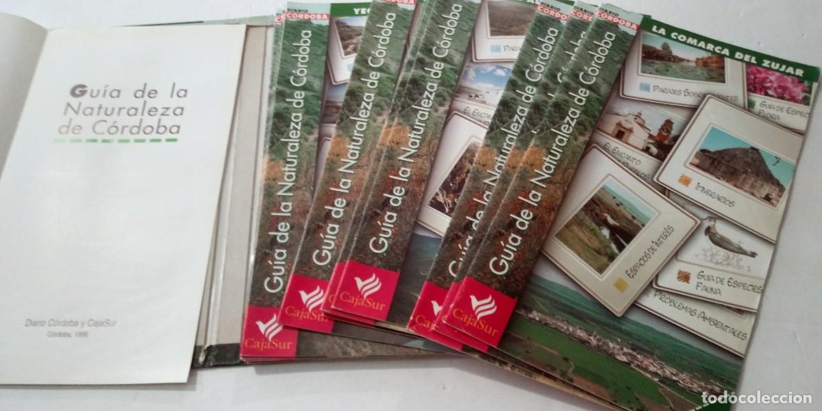 Libros: Gu&iacute;a de la naturaleza de C&oacute;rdoba - Foto 3