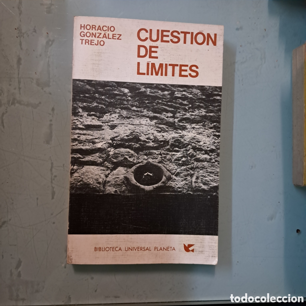 Libros: Horario Gonzalez Trejo, Cuesti&oacute;n de l&iacute;mites - Foto 1