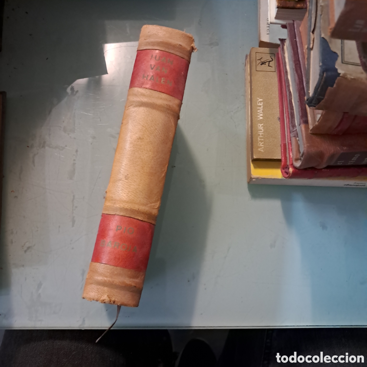 Libros: P&iacute;o Baroja, Juan Van Halen Espasa calpe - Foto 1