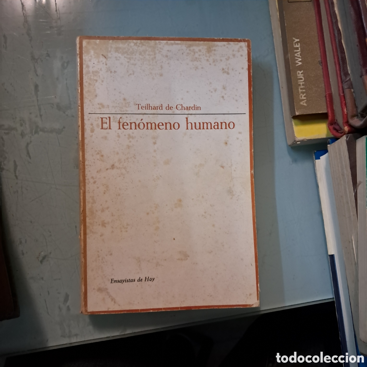 Libros: Teihard de Chardin, El fen&oacute;meno humano Taurus - Foto 1
