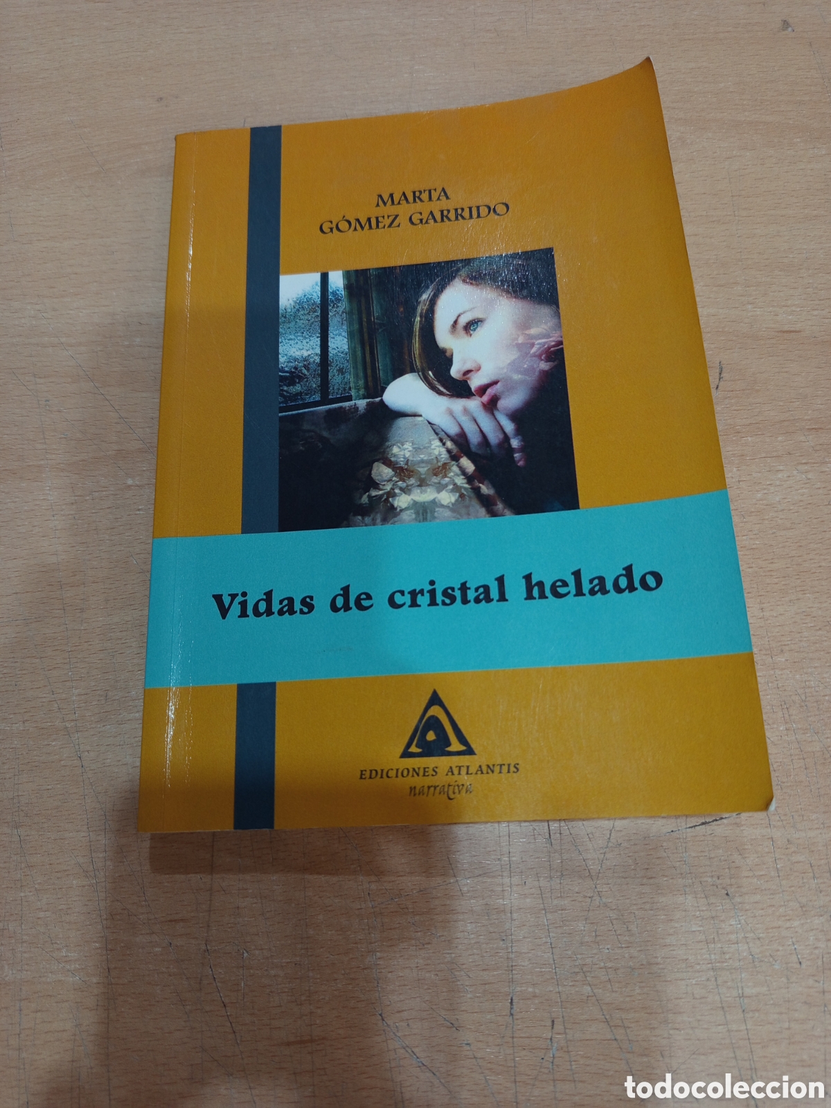 Libros: Vidas de cristal helado. Marta G&oacute;mez Garrido - Foto 1