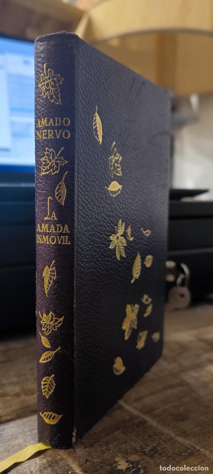 Libros: LA AMADA INM&Oacute;VIL - Amado Nervo - Foto 1