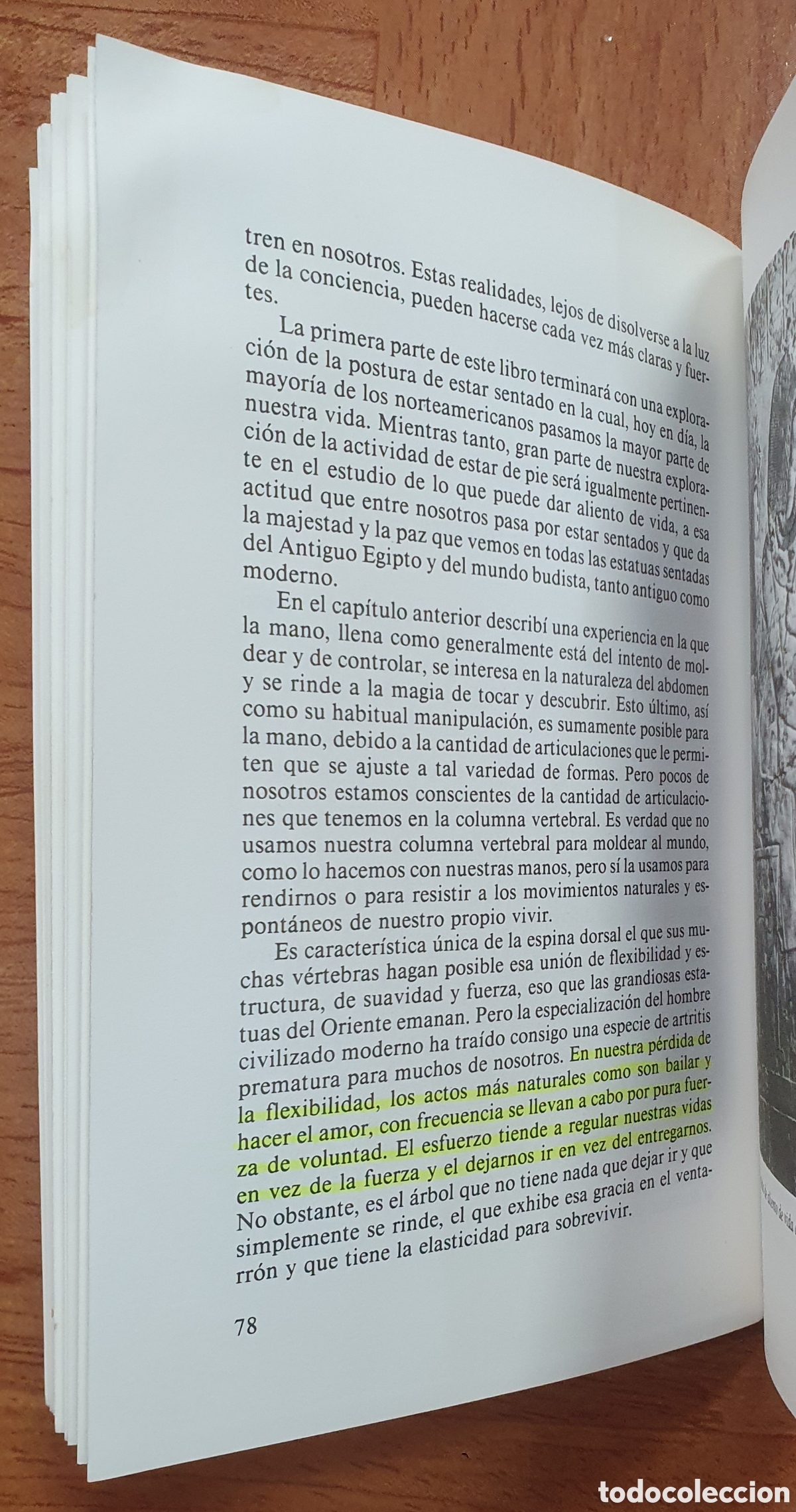 Libros: Consciencia Sensorial - Charles V. W. Brooks - Foto 4