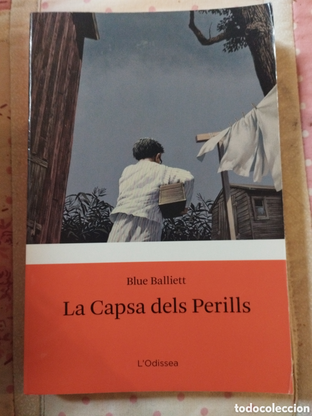 Libros: La capsa dels perills