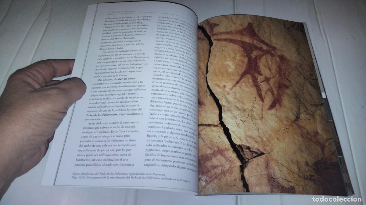 Libros: Museo de Altamira - Aldeasa Ediciones 2006 - ISBN 9788480039307 - Foto 8