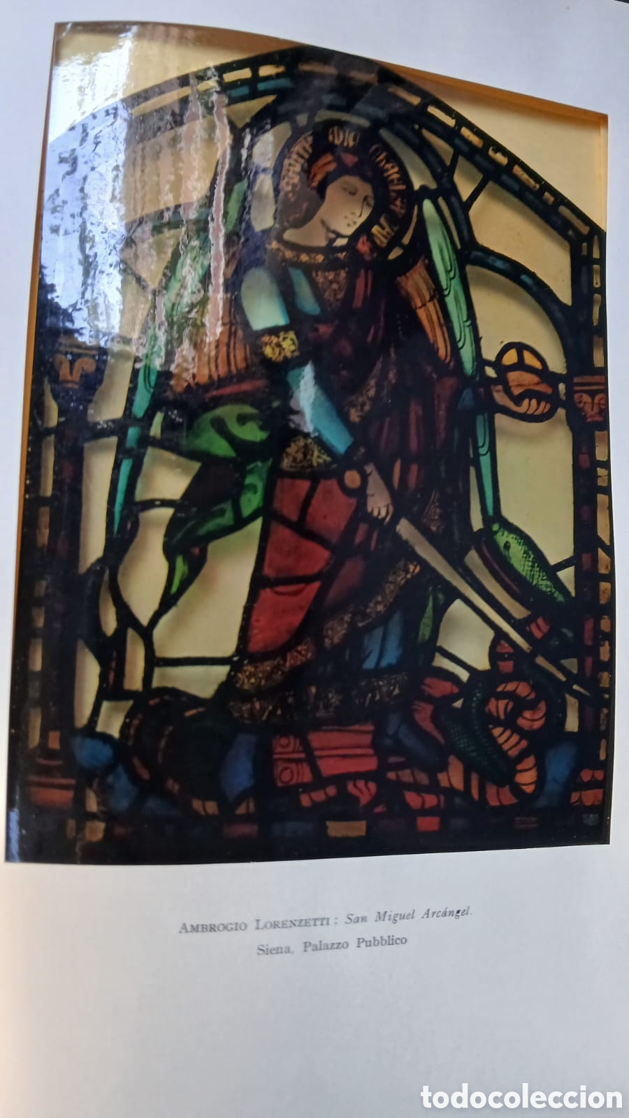 Libros: Las Vidrieras italianas - Foto 4