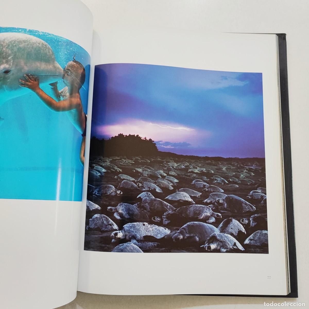 Libros: AGUA de Joaqu&iacute;n Araujo. Castellano e ingl&eacute;s. - Foto 8