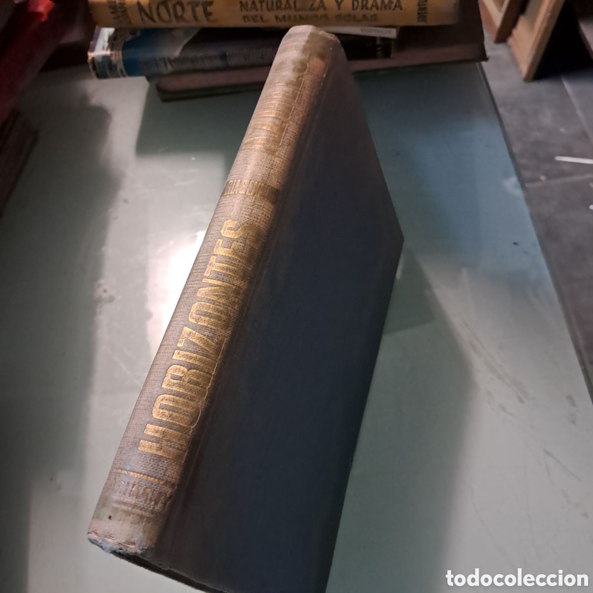 Libros: Horizontes azules Della Gould Emmons,Arimany - Foto 2