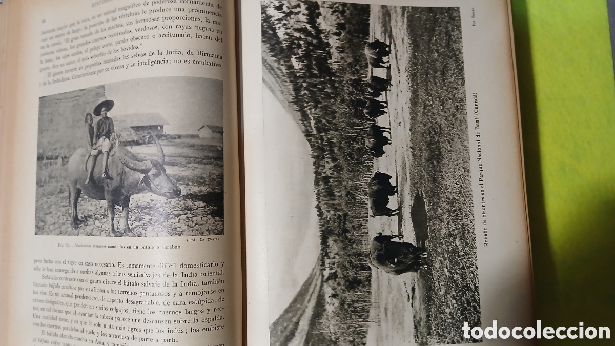 Libros: Historia natural de la creaci&oacute;n - Foto 3