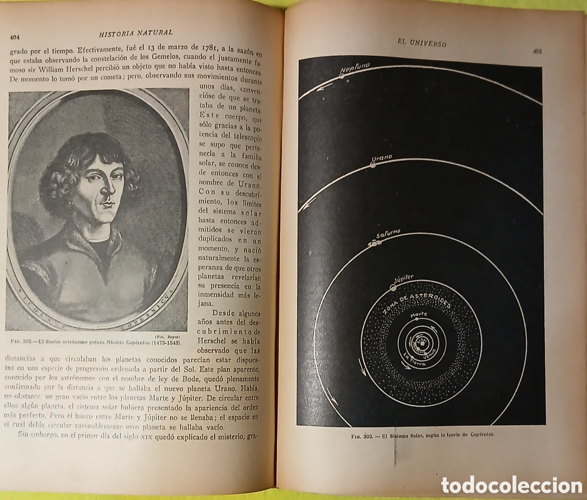 Libros: Historia natural de la creaci&oacute;n - Foto 8