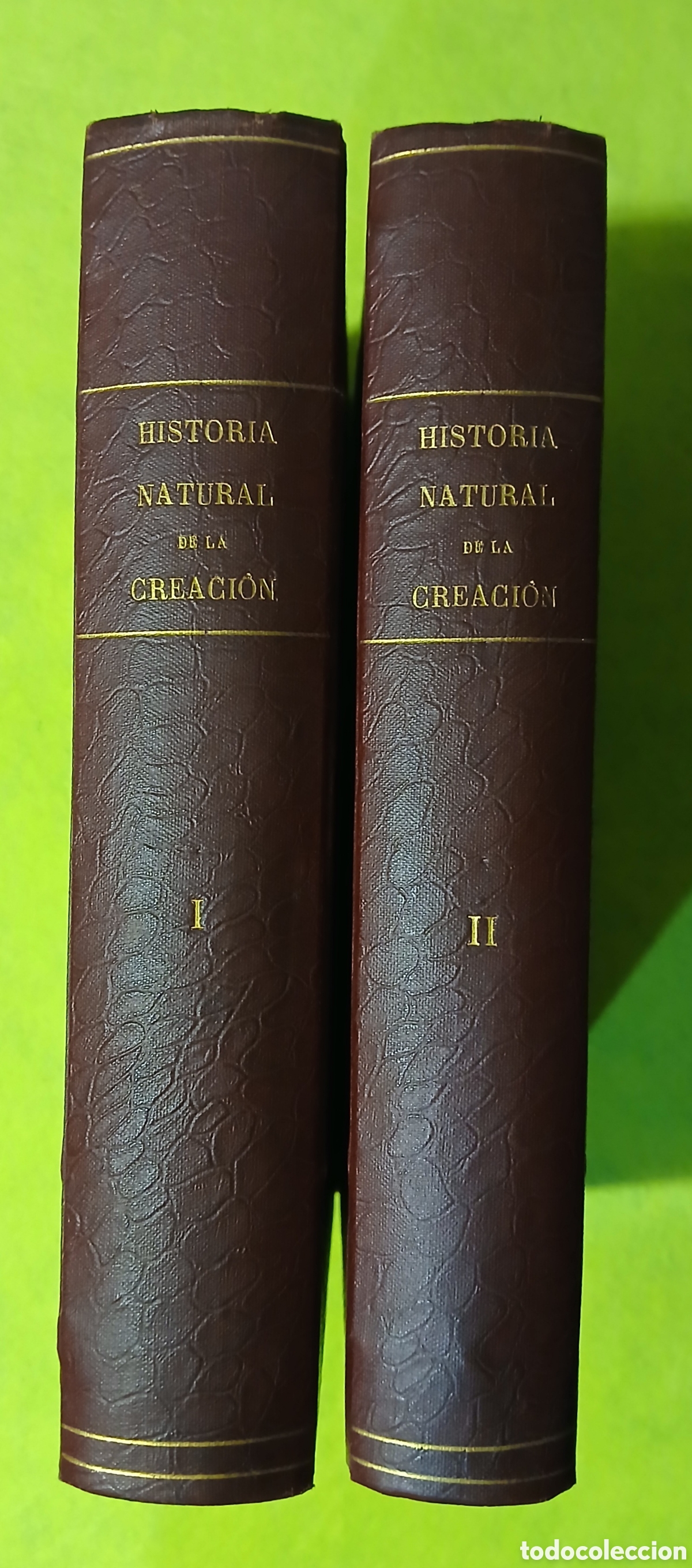 Libros: Historia natural de la creaci&oacute;n - Foto 1