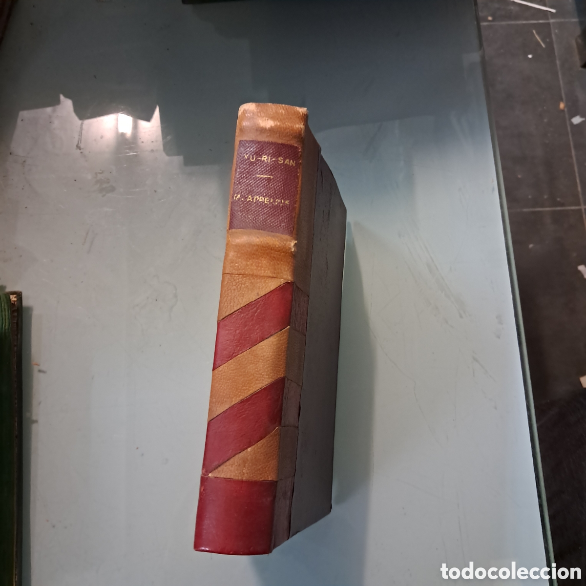 Libros: Yurisan, La pintora de Crisantemos,Mario Appelius - Foto 1