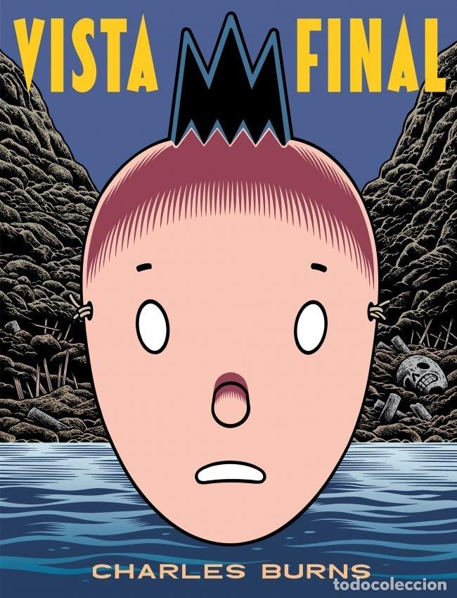 Libros: VISTA FINAL - BURNS,CHARLES - Foto 1