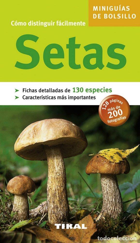Libros: SETAS MINIGUIAS - AA,VV - Foto 1