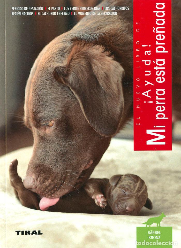 Libros: AYUDA MI PERRA ESTA PRE&Ntilde;ADA - KRONZ, B&Auml;RBEL - Foto 1