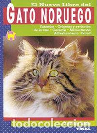 Libros: GATO NORUEGO - AA,VV - Foto 1