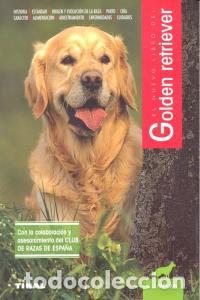 Libros: GOLDEN RETRIEVER - AA,VV - Foto 1