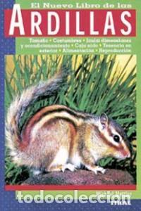 Libros: ARDILLAS - AA,VV - Foto 1