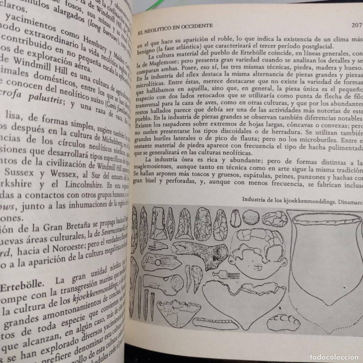 Libros: La humanidad prehist&oacute;rica. - MALUQUER DE MOTES, Juan: - Foto 10