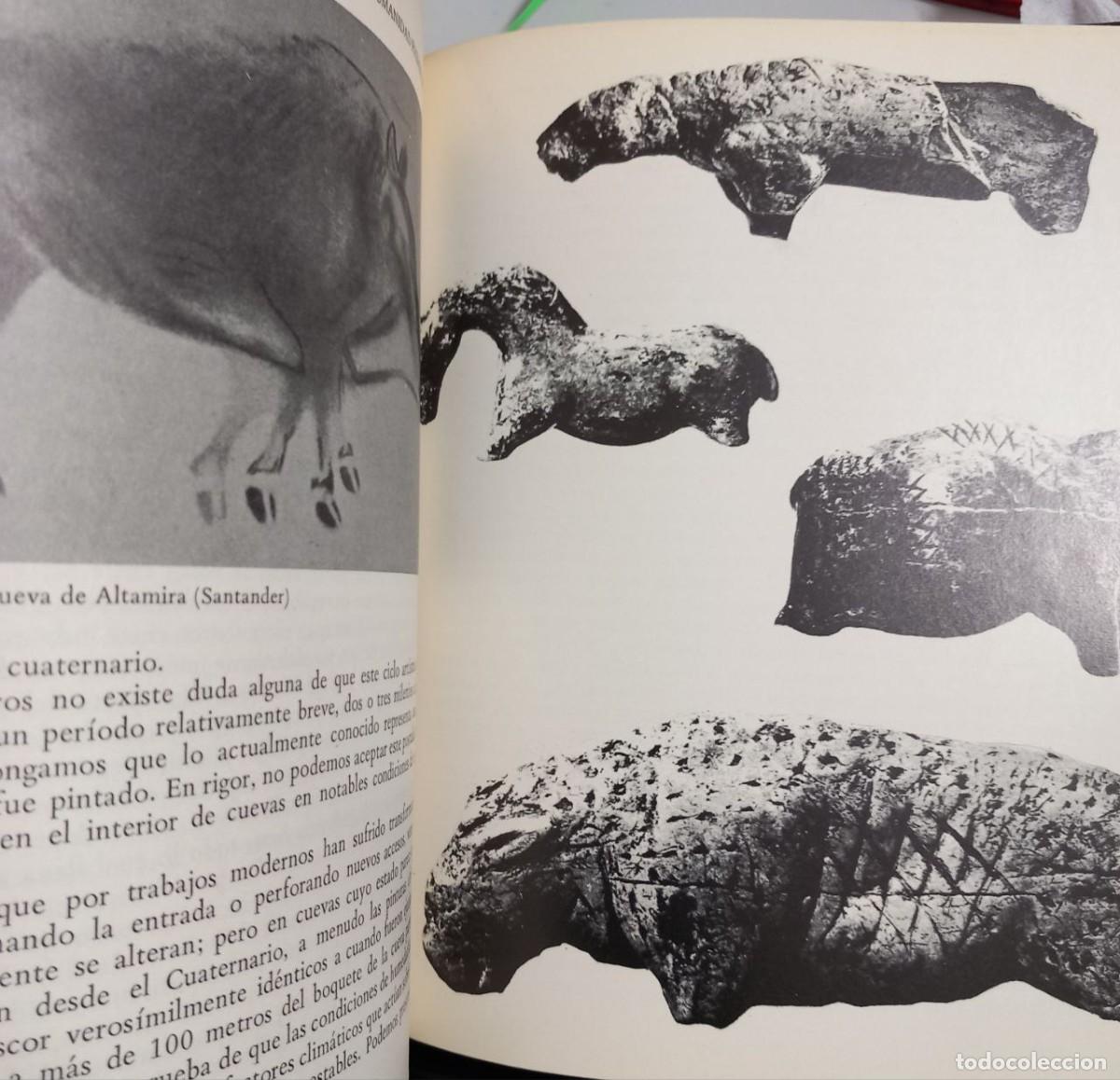 Libros: La humanidad prehist&oacute;rica. - MALUQUER DE MOTES, Juan: - Foto 11