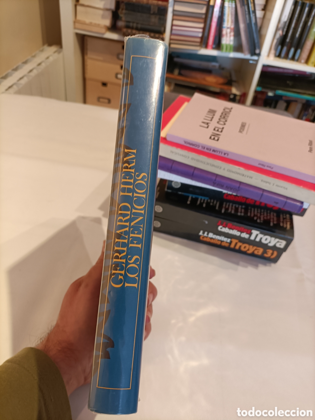 Libros: Libro Los Fenicios,Gerhard Herm, PRECINTADO - Foto 3