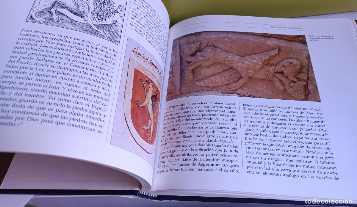 Libros: FAUNA FANT&Aacute;STICA DE LA PENINSULA IB&Eacute;RICA - Ignacio Malaxecheverr&iacute;a - Foto 3