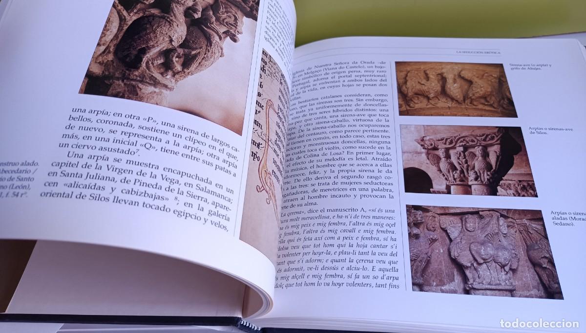 Libros: FAUNA FANT&Aacute;STICA DE LA PENINSULA IB&Eacute;RICA - Ignacio Malaxecheverr&iacute;a - Foto 4