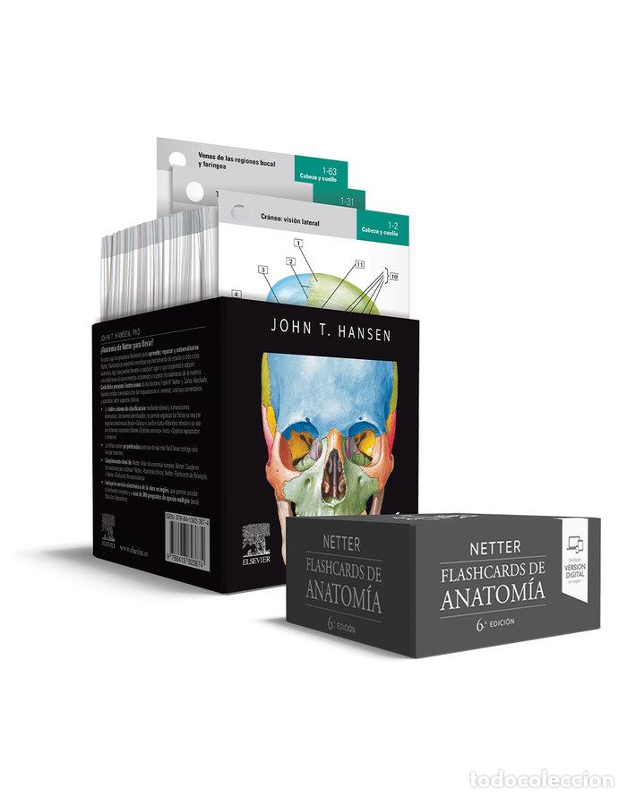 Libros: NETTER FLASHCARDS DE ANATOMIA 6&ordf; ED - HANSEN - Foto 1