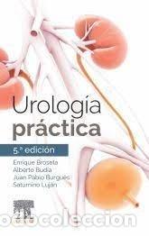 Libros: UROLOGIA PRACTICA - VVAA - Foto 1