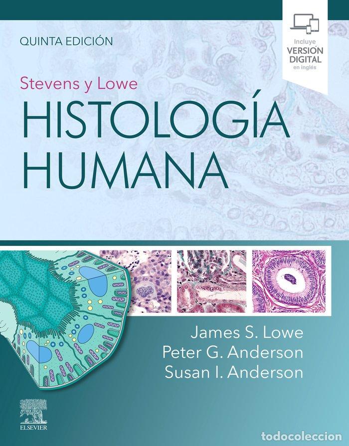 Libros: HISTOLOGIA HUMANA - STEVENS,LOWE - Foto 1