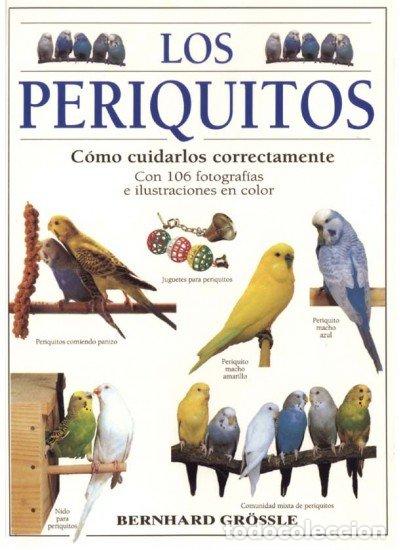Libros: PERIQUITOS,LOS - GROSSLE,B - Foto 1