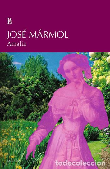 Libros: AMALIA - MARMOL,JOSE - Foto 1