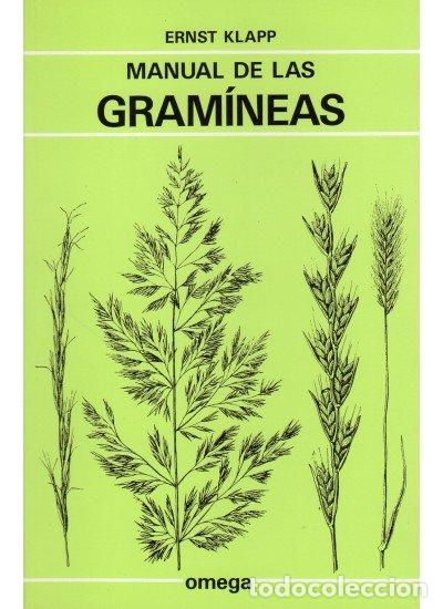 Libros: MANUAL GRAMINEAS - KLAPP,ERNST - Foto 1