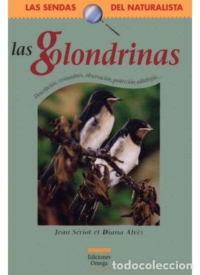 Libros: GOLONDRINAS - SERIOT,JEAN/ALVES DIANA - Foto 1