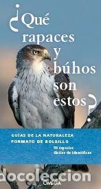 Libros: QUE RAPACES Y BUHOS SON ESTOS - AA,VV - Foto 1