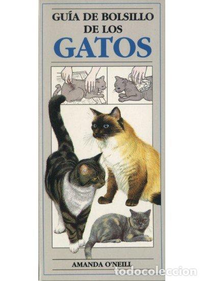 Libros: GATOS GUIA BOLSILLO OMEGA - ONEILL,AMANDA - Foto 1