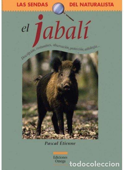 Libros: JABALI - ETIENNE,PASCAL - Foto 1