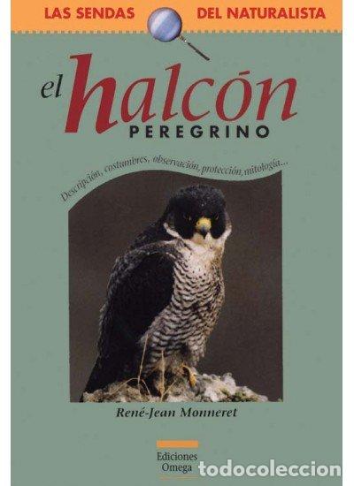 Libros: HALCON PREREGRINO - MONNERET,RENE-JEAN - Foto 1