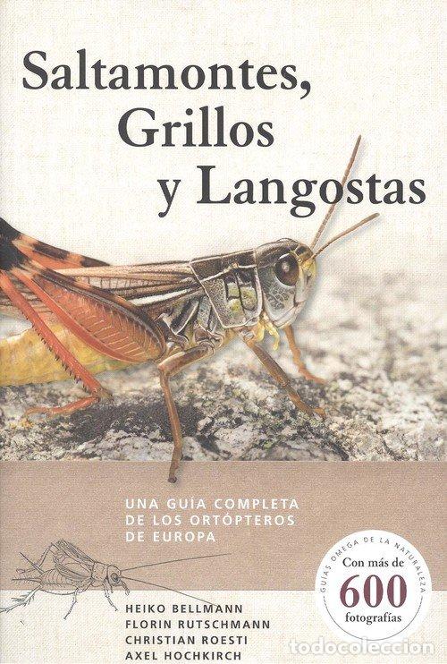Libros: SALTAMONTES GRILLOS Y LANGOSTAS - BELLMANN,HEIKO - Foto 1