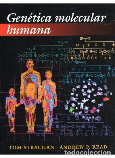 Libros: GENETICA MOLECULAR HUMANA - STRACHAN/READ - Foto 1