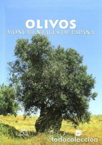 Libros: OLIVOS MONUMENTALES DE ESPA&Ntilde;A - AA,VV - Foto 1