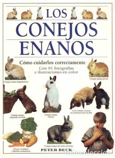 Libros: CONEJOS ENANOS,LOS - BECK,PETER - Foto 1