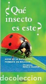 Libros: QUE INSECTO ES ESTE - AA,VV - Foto 1