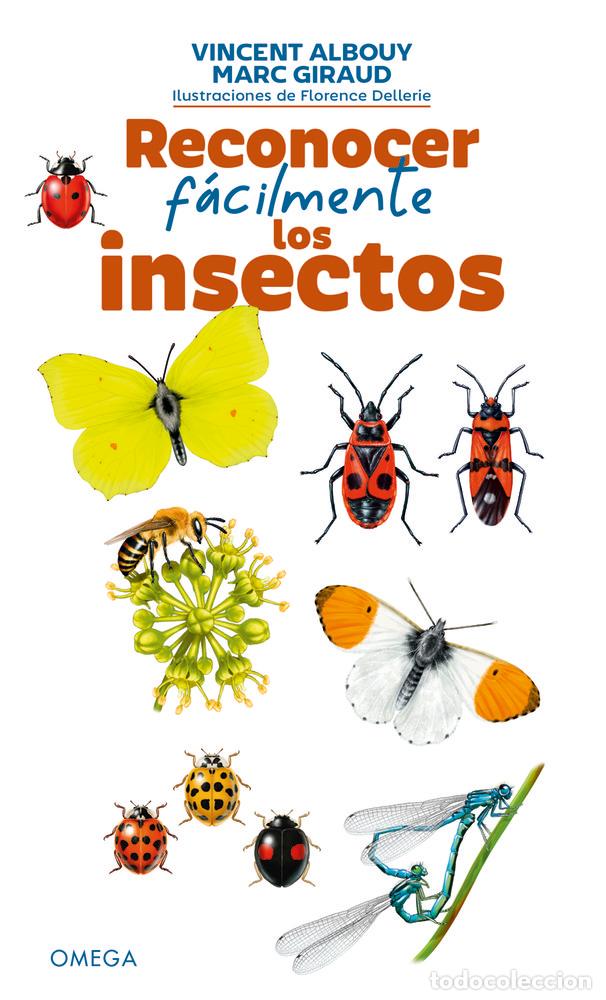 Libros: RECONOCER FACILMENTE LOS INSECTOS - VINCENT ALBOUY - Foto 1