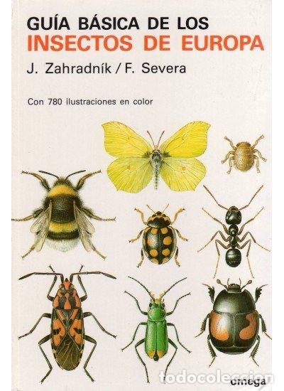 Libros: GUIA BASICA INSECTOS - ZAHRADNIK/SEVERA - Foto 1