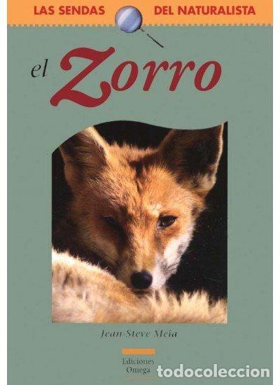 Libros: ZORRO - MEIA,JEAN-STEVE - Foto 1