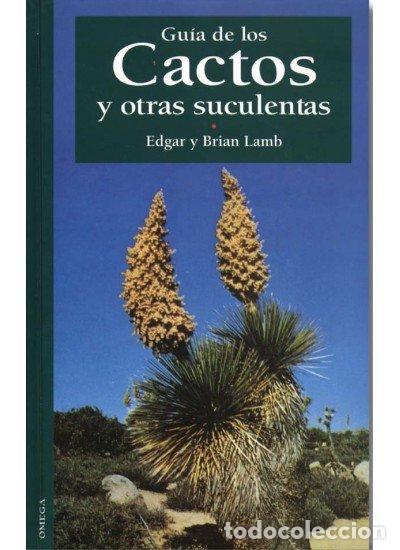 Libros: GUIA CACTOS Y OTRAS SUCULENTAS - LAMB - Foto 1