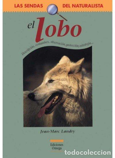 Libros: LOBO - LANDRY,JEAN-MARC - Foto 1