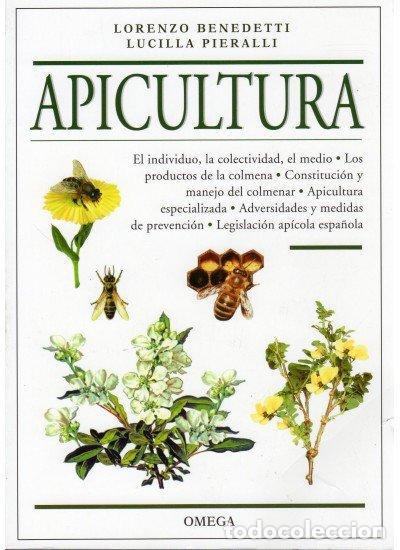 Libros: APICULTURA - BENEDETTI/PIERALLI - Foto 1