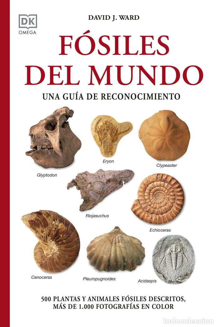 Libros: FOSILES DEL MUNDO - WARD, DAVID J, - Foto 1